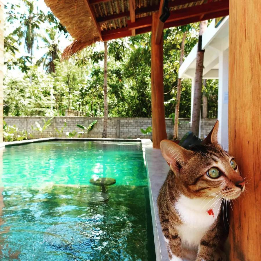 Twiny'S Kuta (Lombok) Exterior foto